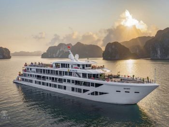 Toan-canh-Aimee-cruise