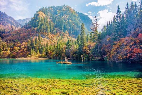 tour-cuu-trai-cau-tay-an-6-ngay-6-dem-1-600x400